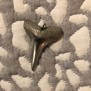 Silver shark tooth charm